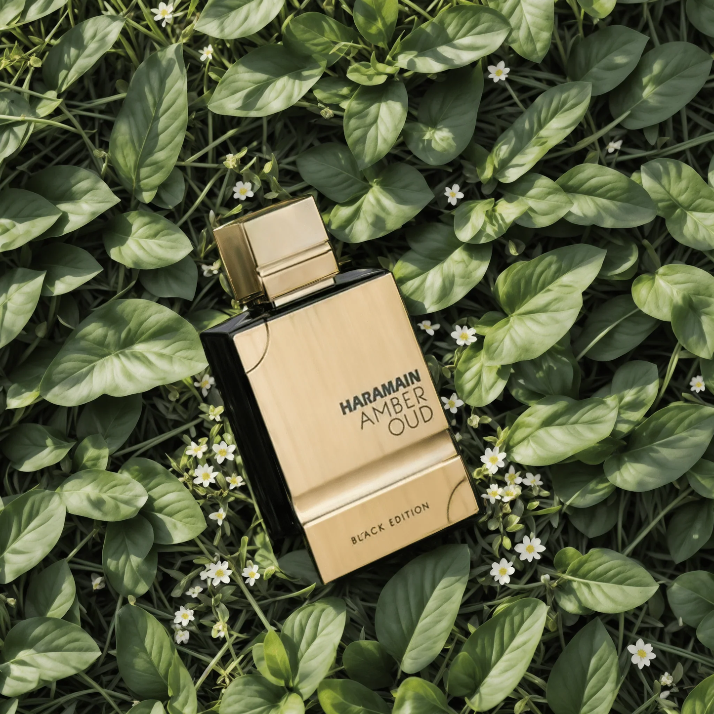 Al Haramain Amber Oud Black Edition