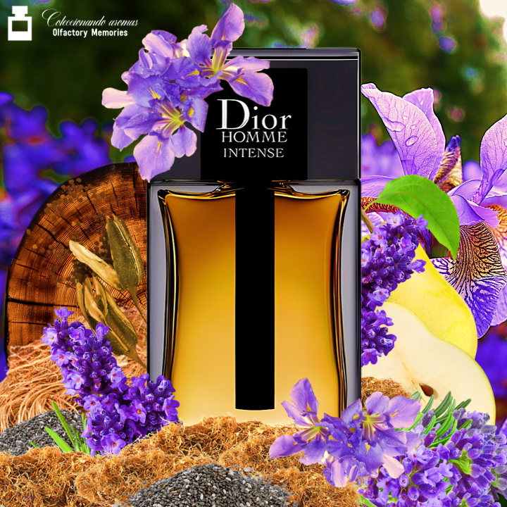 Dior Homme Intense