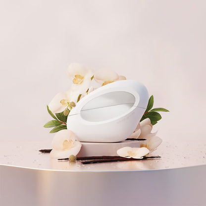 Ariana Grande Mod Vanilla