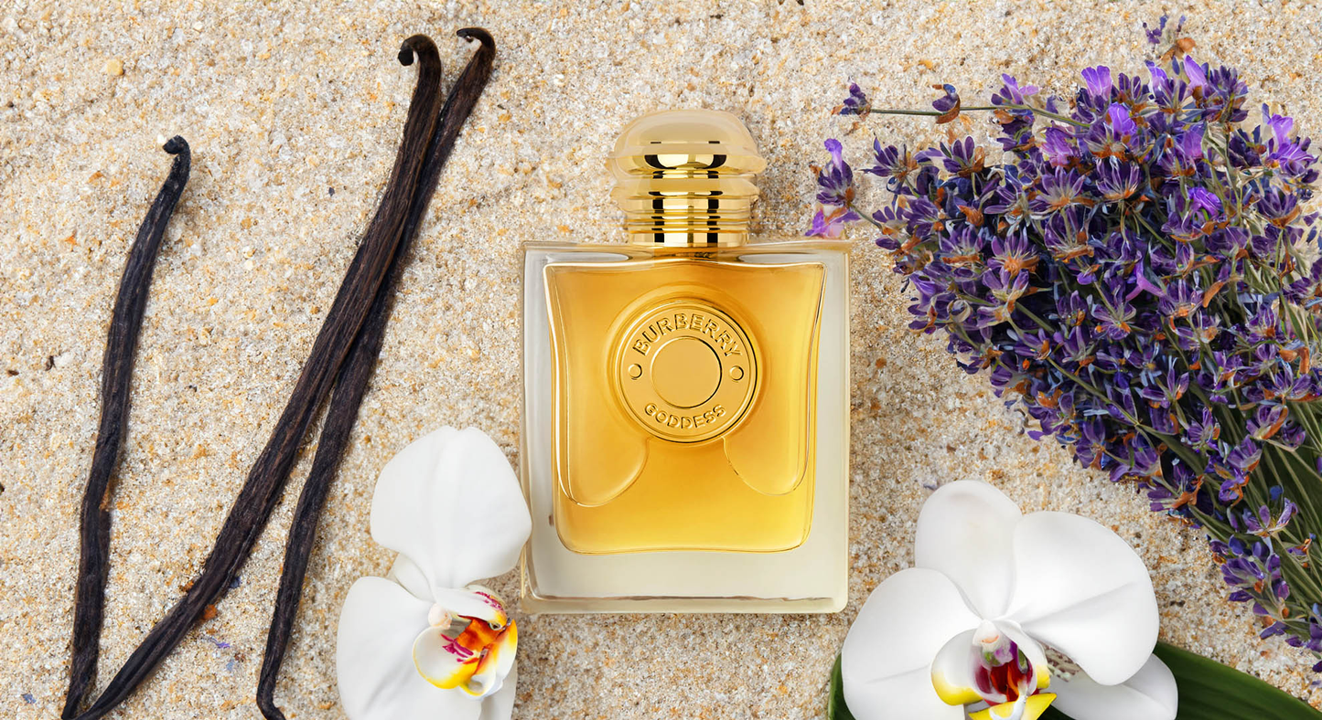 Burberry Goddess Intense