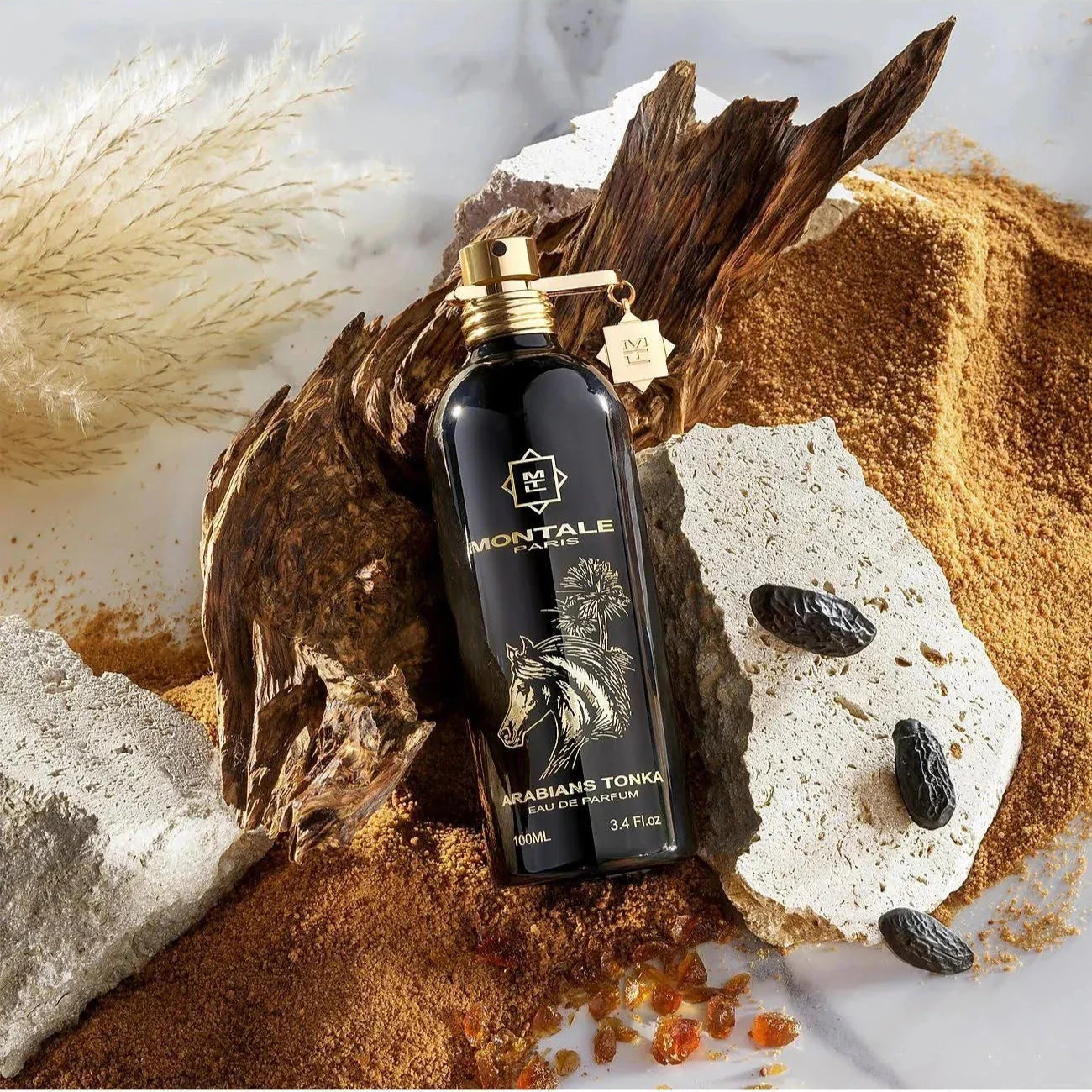 Montale Arabians Tonka