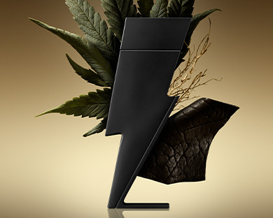 Carolina Herrera Bad Boy Le Parfum