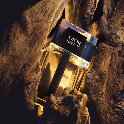 Dior Homme 2020