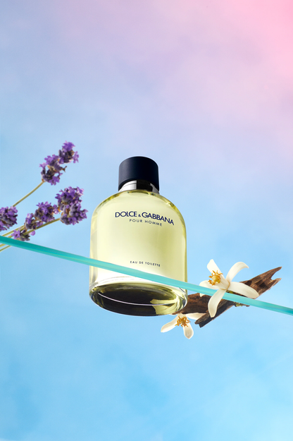 Dolce & Gabbana Pour Homme