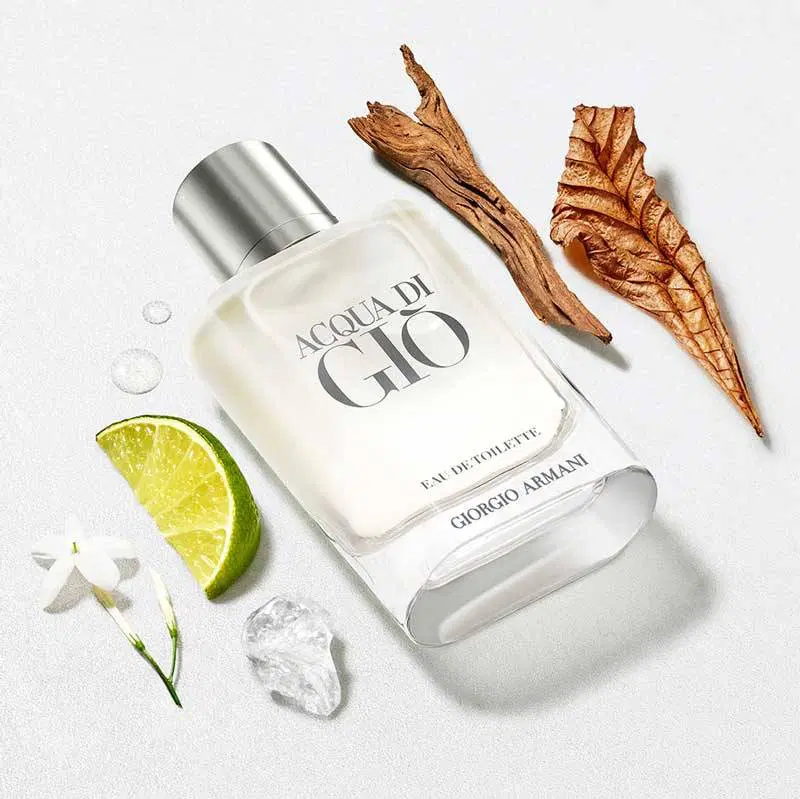 Giorgio Armani Acqua Di Gio Pour Homme