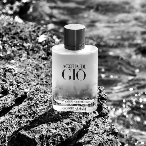 Giorgio Armani Acqua Di Gio Pour Homme