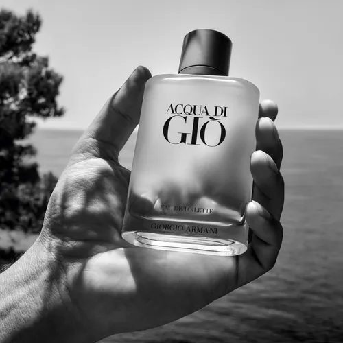 Giorgio Armani Acqua Di Gio Pour Homme