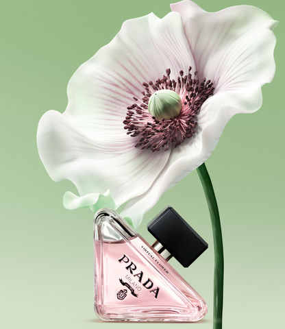 Prada Paradoxe