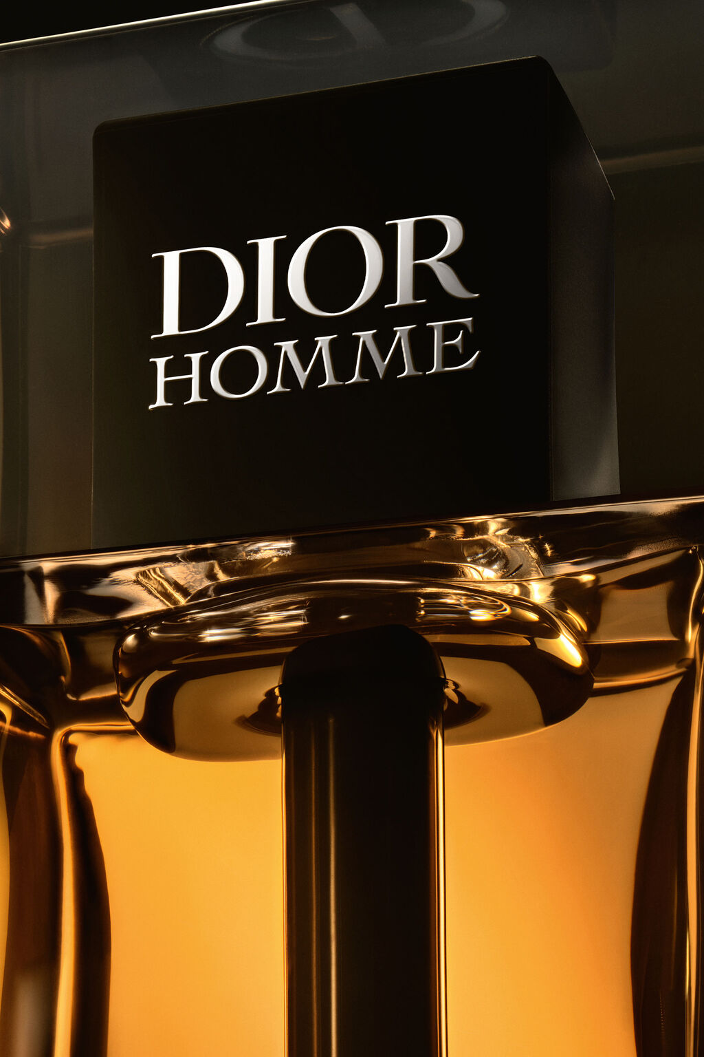 Dior Homme Intense para hombre – 100 ml original en Zenzo Perfumes Colombia – imagen 3
