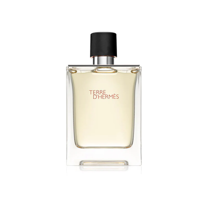 Hermès Terre d’Hermès para hombre – 100 ml original en Zenzo Perfumes Colombia – imagen 1